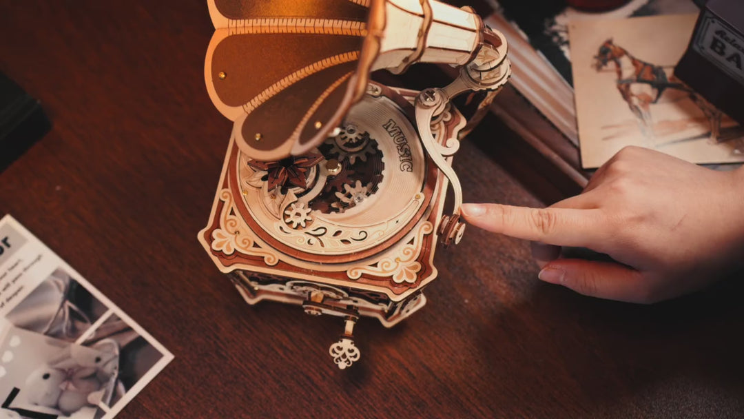 Vintage Gramophone DIY Mechanical Music Box
